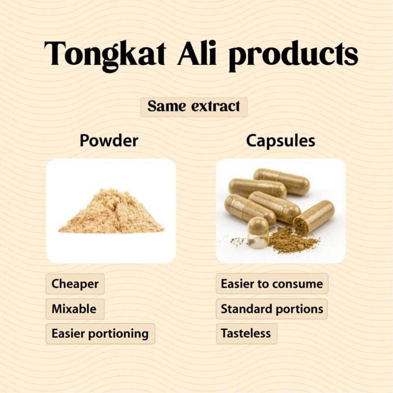 Tongkat Ali Extract vs Tongkat Ali Capsules – A comparison
