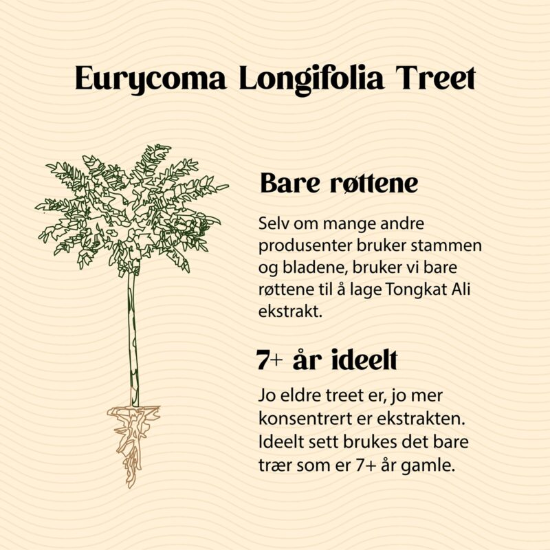 Eurycoma Longifolia Treet